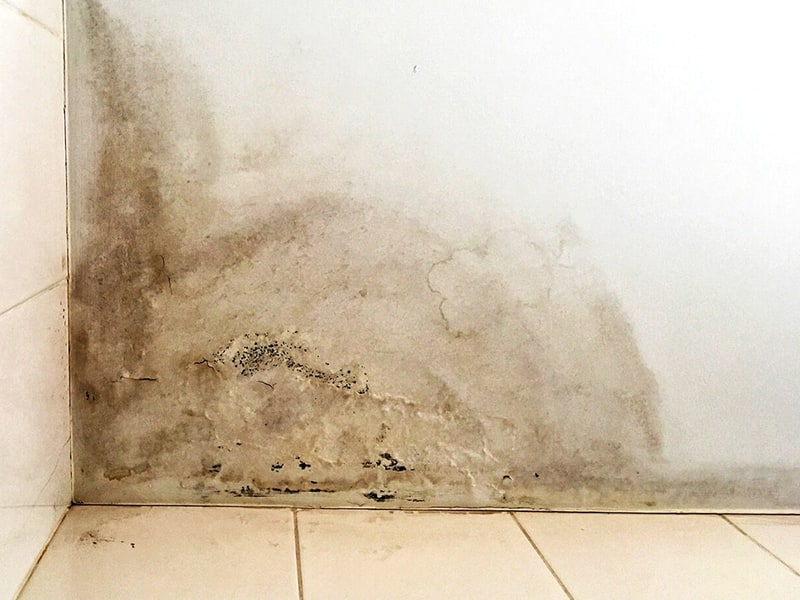 Humidité et moisissure sur un mur intérieur