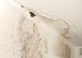 Réparation des infiltrations d'eau à Liège