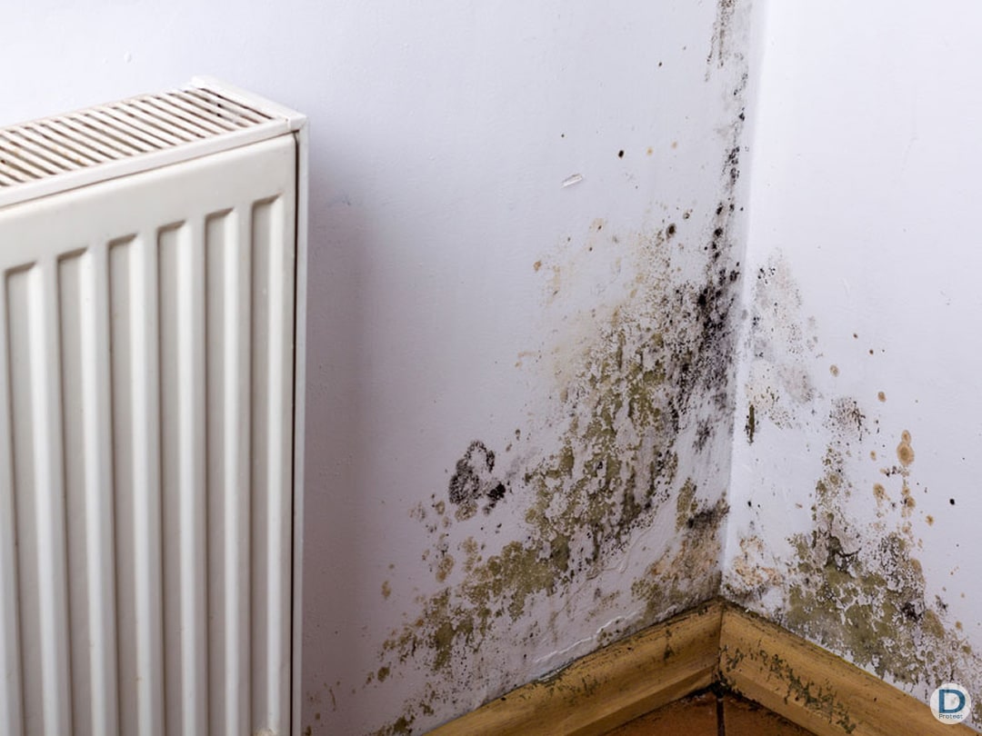 Erreurs fréquentes humidité ascensionnelle