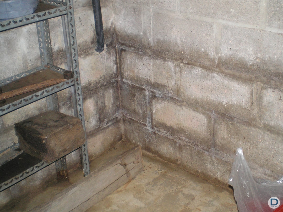 Cave assainie et étanche